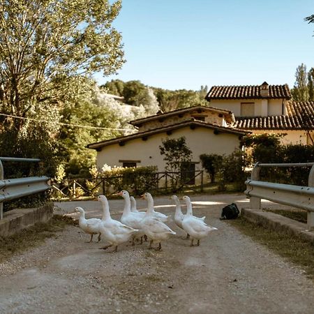 Agriturismo Le Radici Umbertide Eksteriør billede
