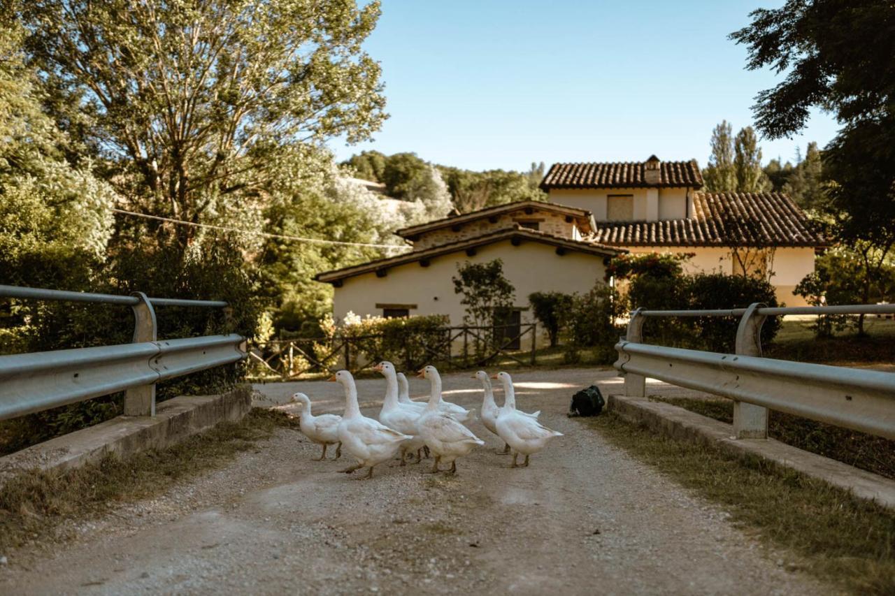 Agriturismo Le Radici Umbertide Eksteriør billede