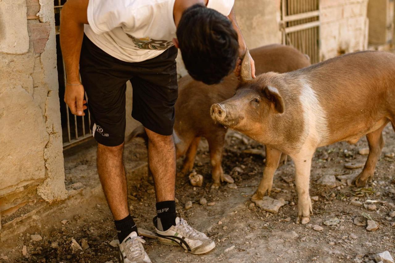 Agriturismo Le Radici Umbertide Eksteriør billede