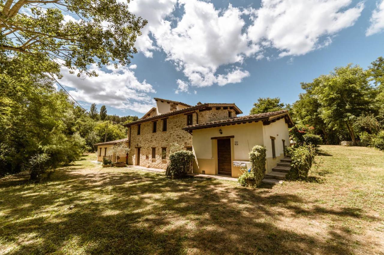 Agriturismo Le Radici Umbertide Eksteriør billede