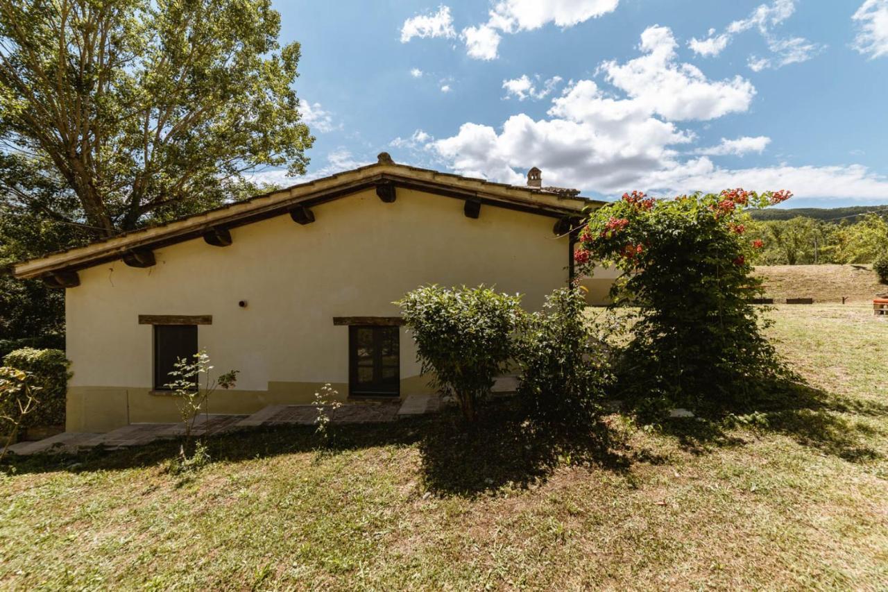 Agriturismo Le Radici Umbertide Eksteriør billede