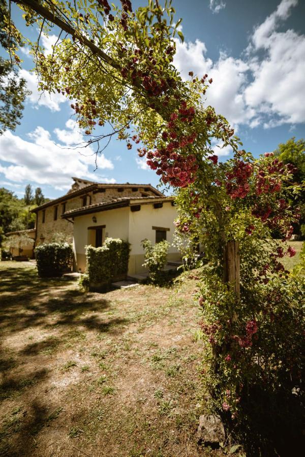 Agriturismo Le Radici Umbertide Eksteriør billede